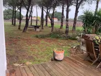 Miniature 1 - Maison Narbonne