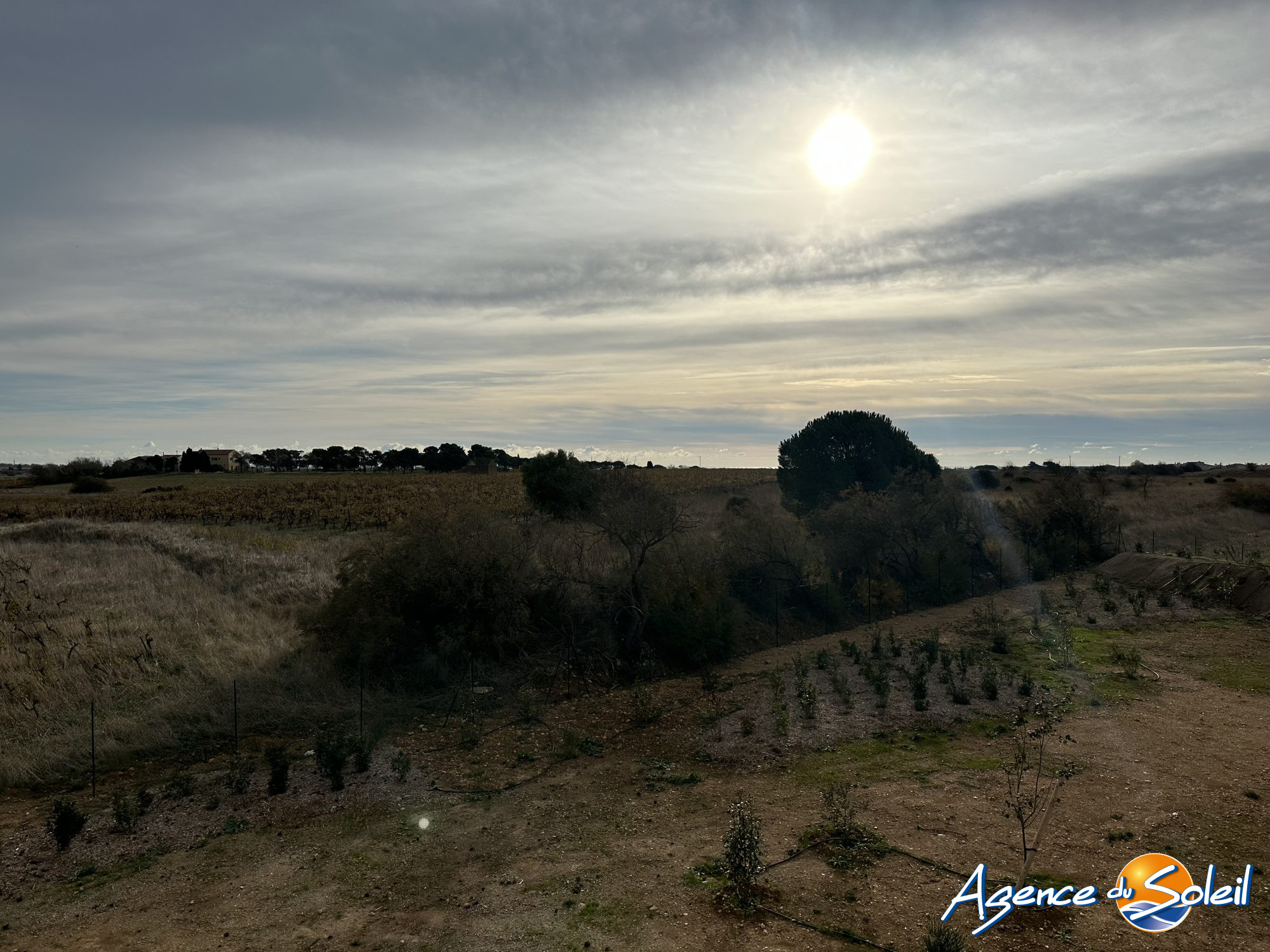Terrasse - Appartement Sérignan (Réf. 36-10716-AGENCEDUSOLEIL)