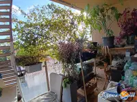 Miniature 4 - Appartement Saint-Laurent-de-la-Salanque