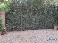 Miniature 2 - Appartement Canohès