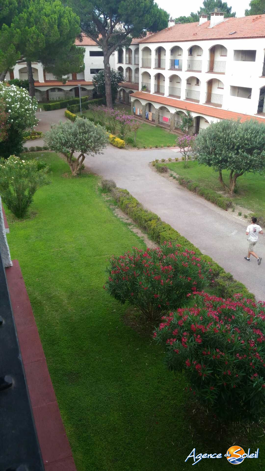 Photo 10 - Appartement Argelès-sur-Mer (Réf. 10943-AGENCEDUSOLEIL)