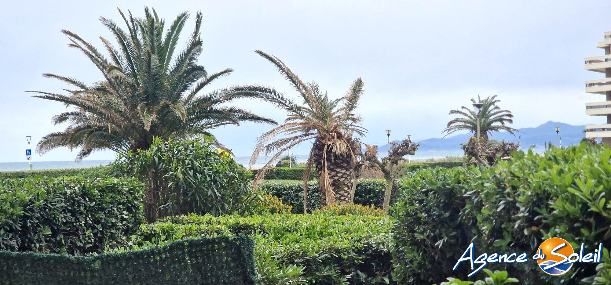 Photo 10 - Appartement Canet-en-Roussillon (Réf. 19-11095-AGENCEDUSOLEIL)