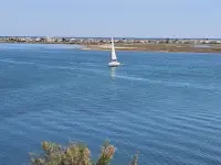 Miniature 13 - Appartement Gruissan