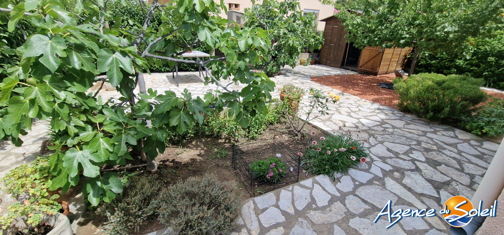 Terrasse - Appartement Cabestany (Réf. 19-11296-AGENCEDUSOLEIL)