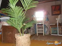 Miniature 10 - Appartement Fitou