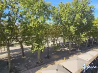 Miniature 2 - Appartement Narbonne