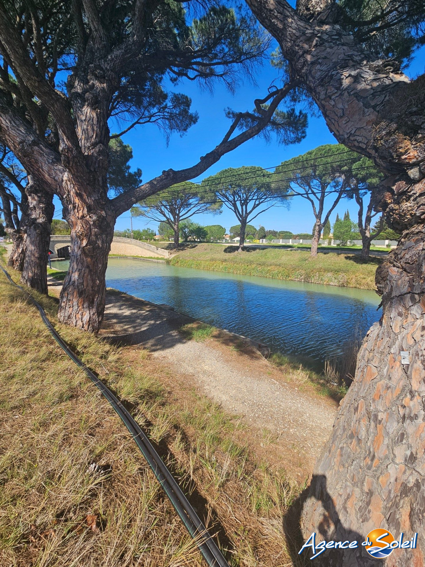 Photo 30 - Maison Sallèles-d'Aude (Réf. 11-9882-AGENCEDUSOLEIL)