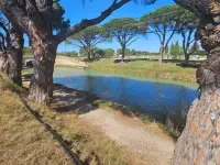 Miniature 3 - Maison Sallèles-d'Aude