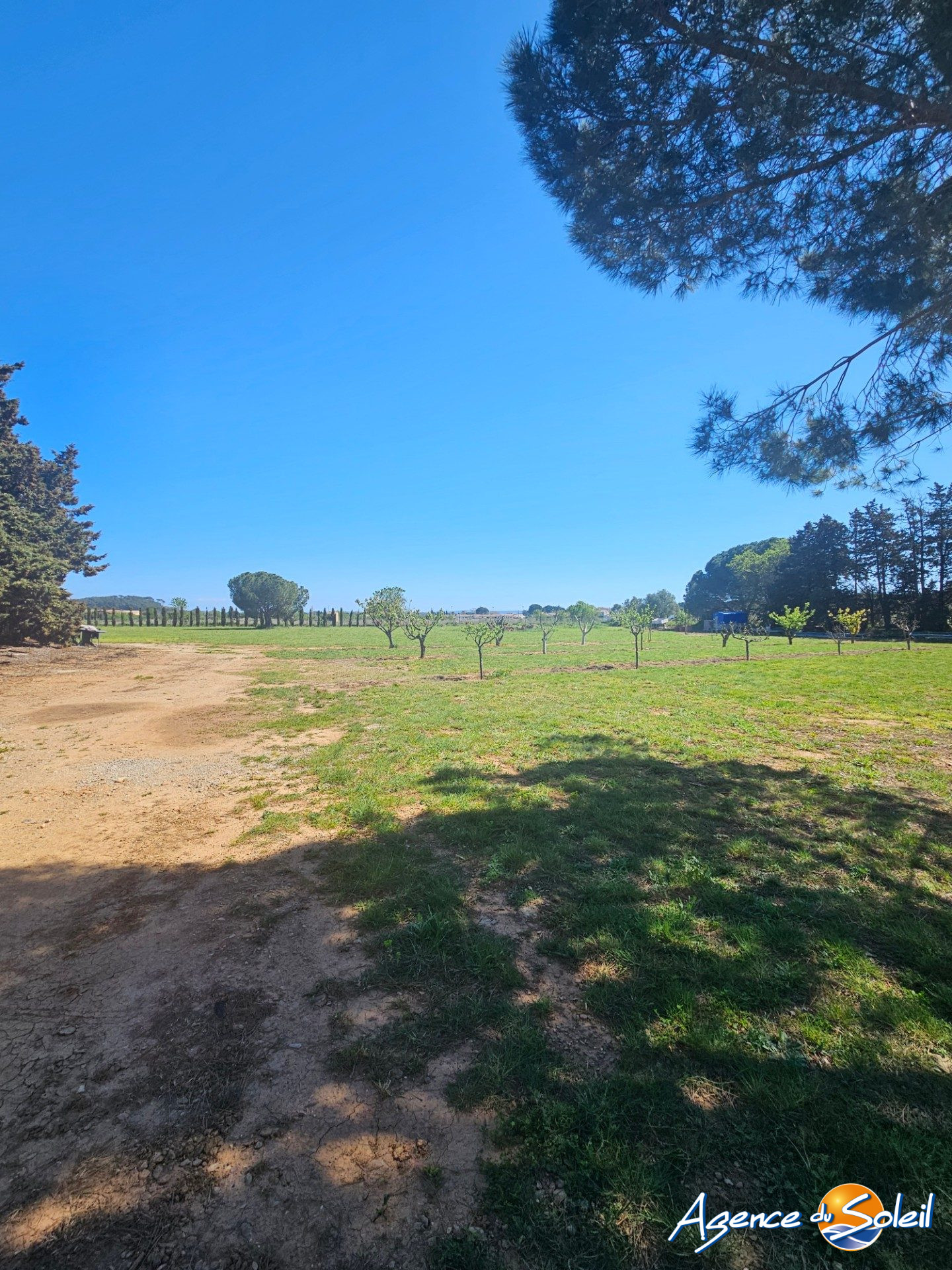 Terrasse - Maison Sallèles-d'Aude (Réf. 11-9882-AGENCEDUSOLEIL)