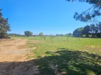 Miniature 8 - Maison Sallèles-d'Aude