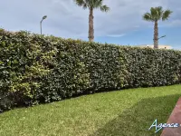 Miniature 20 - Maison Villeneuve-de-la-Raho