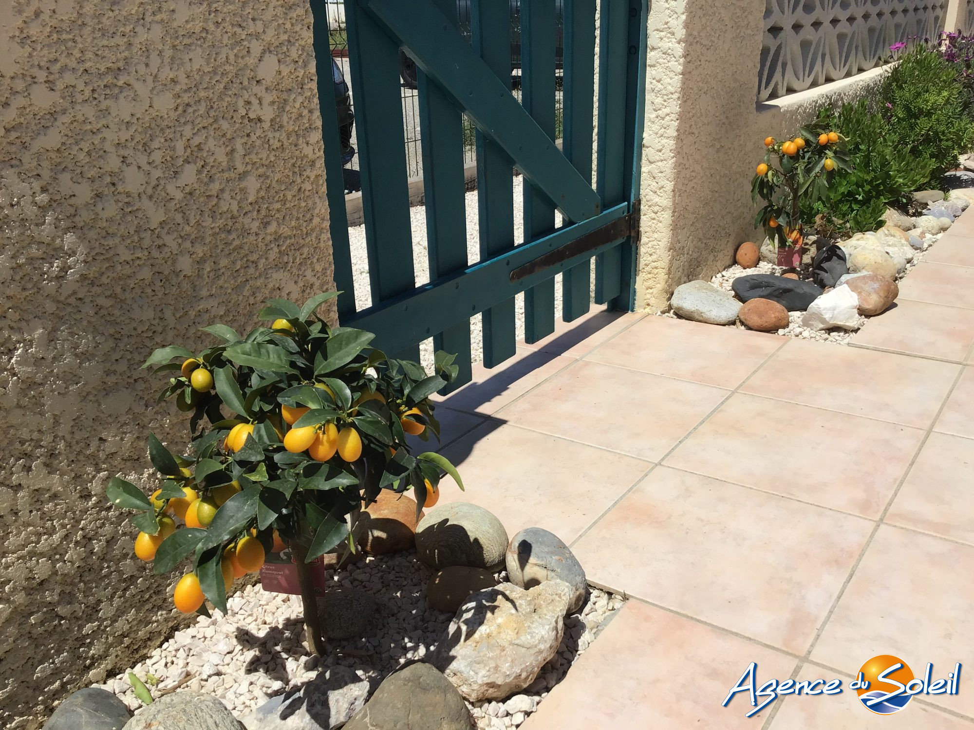 Photo 21 - Maison Le Barcarès (Réf. 17-10015-AGENCEDUSOLEIL)