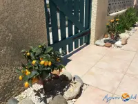 Miniature 21 - Maison Le Barcarès