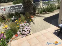 Miniature 2 - Maison Le Barcarès