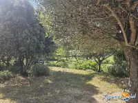 Miniature 28 - Maison villerouge