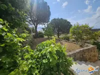 Miniature 2 - Maison Bizanet