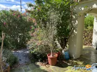 Miniature 8 - Maison Caves