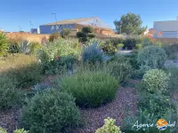 Miniature 18 - Maison Sigean