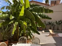 Miniature 14 - Maison Narbonne