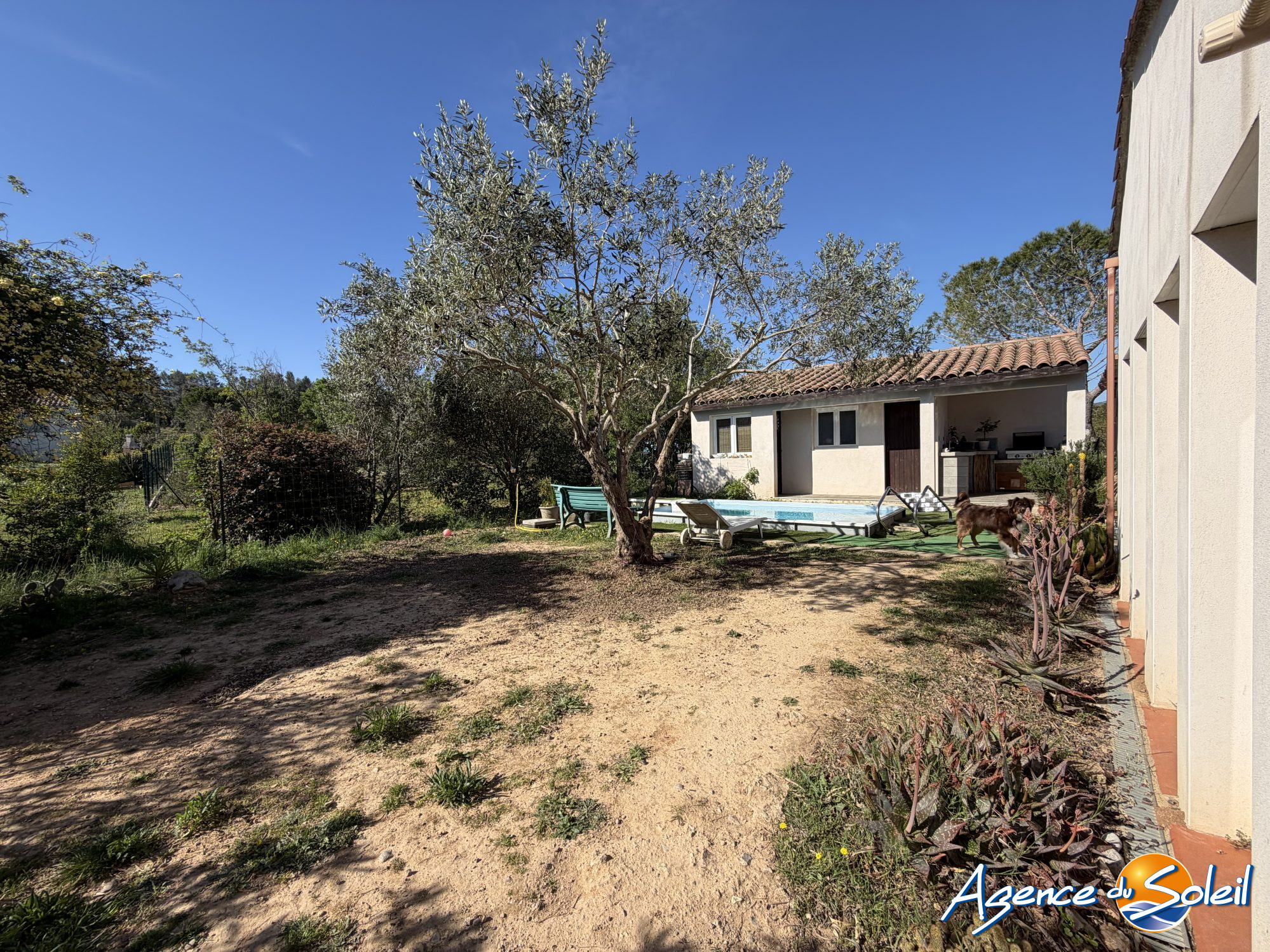 Photo 17 - Maison Ferrals-les-Corbières (Réf. 26-11085-AGENCEDUSOLEIL)