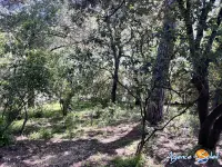 Miniature 9 - Maison Montpellier