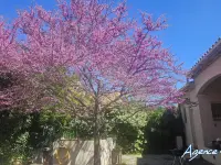 Miniature 16 - Maison Moussan