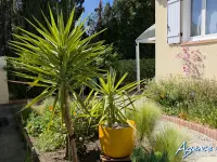 Miniature 6 - Maison Rivesaltes