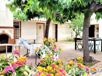 Miniature 1 - Maison Canet-en-Roussillon