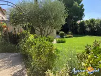 Miniature 14 - Maison Narbonne