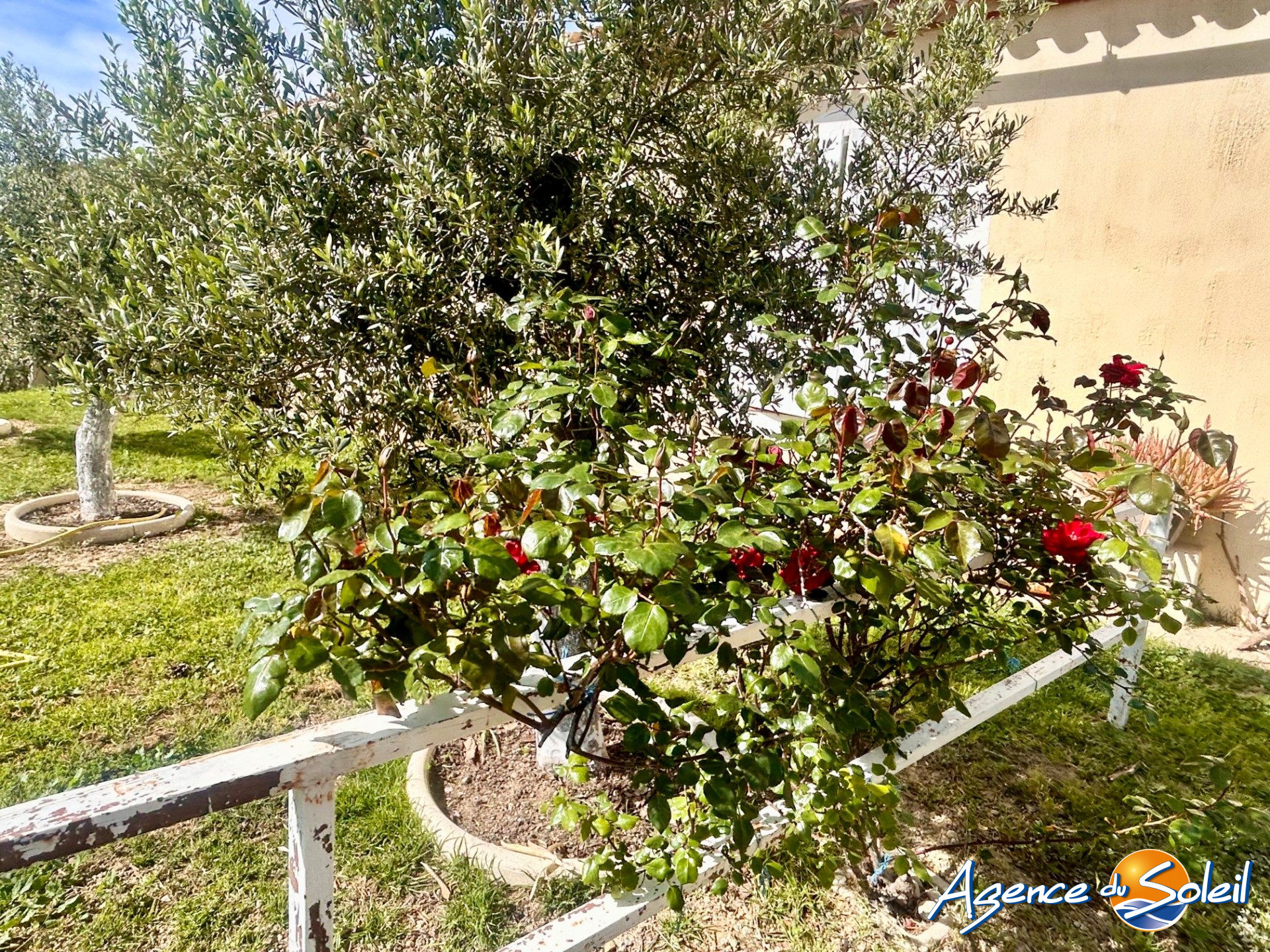 Photo 29 - Maison Armissan (Réf. 29-11521-AGENCEDUSOLEIL)