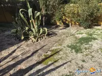 Miniature 14 - Maison Le Barcarès