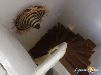 Miniature 9 - Maison Port-la-Nouvelle