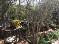 Miniature 15 - Maison La Palme