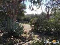 Miniature 18 - Maison La Palme