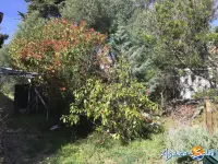 Miniature 20 - Maison La Palme