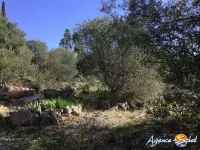 Miniature 23 - Maison La Palme