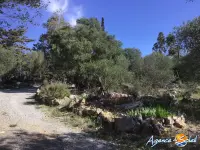 Miniature 25 - Maison La Palme