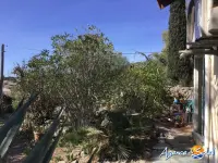 Miniature 8 - Maison La Palme