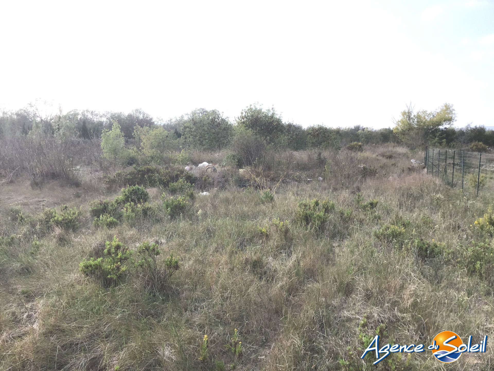 Vue intérieure - Terrain Sigean (Réf. 15-9842-AGENCEDUSOLEIL)