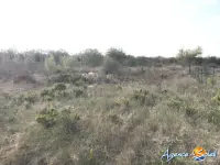 Miniature 2 - Terrain Sigean