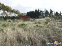 Miniature 3 - Terrain Sigean