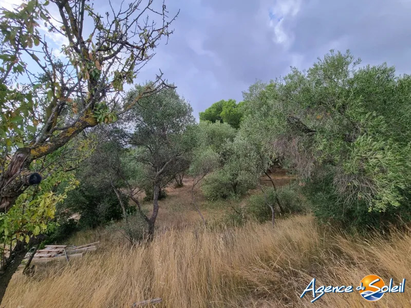 Terrain a vendre a Lézignan-Corbières - 1 300 m2