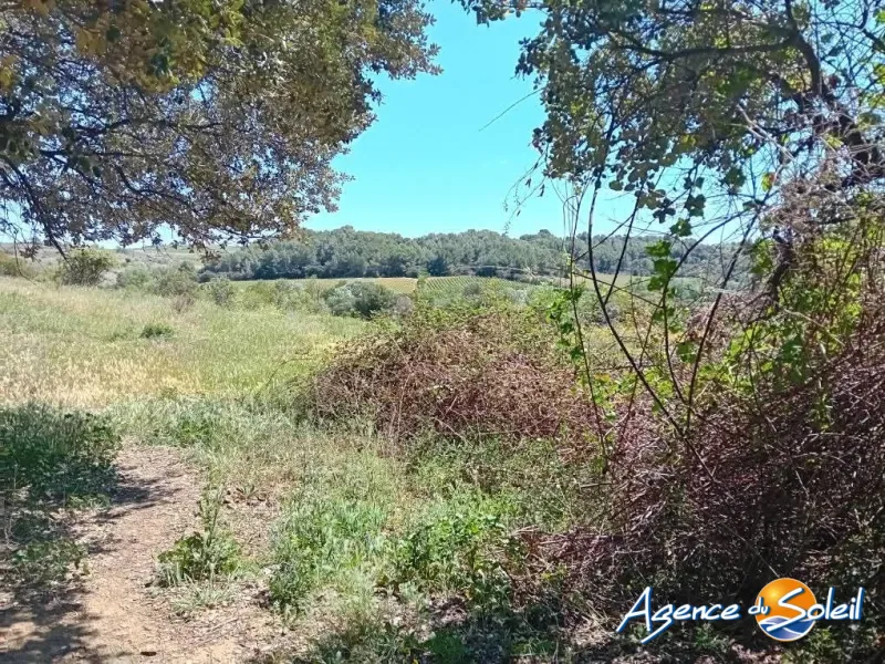 Terrain a vendre a Paraza - 0 m2