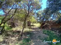 Miniature 3 - Terrain Paraza