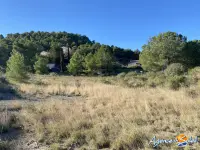 Miniature 3 - Terrain Roquefort-des-Corbières