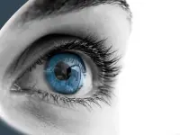 Miniature 2 - Terrain Paraza