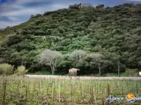 Miniature 1 - Terrain Banyuls-sur-Mer