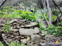 Miniature 2 - Terrain Banyuls-sur-Mer