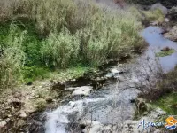 Miniature 3 - Terrain Banyuls-sur-Mer