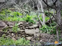 Miniature 6 - Terrain Banyuls-sur-Mer